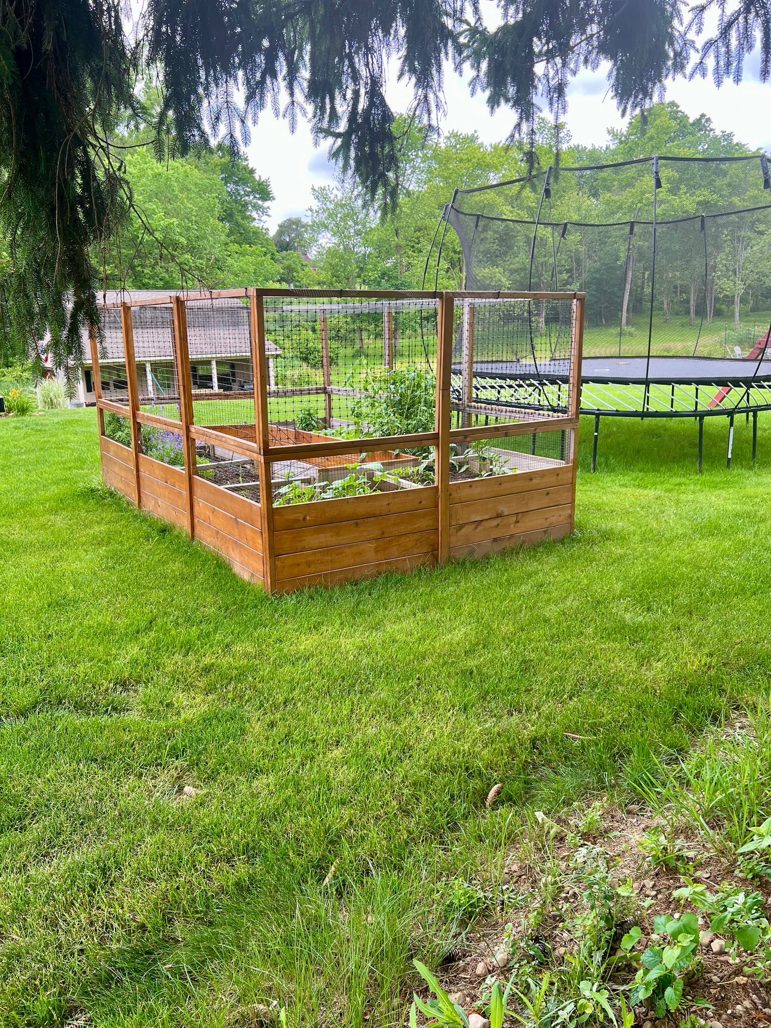A fenced cedar raised bed garden enclosure in a Pittsburgh suburban backyard — real install in a real yard