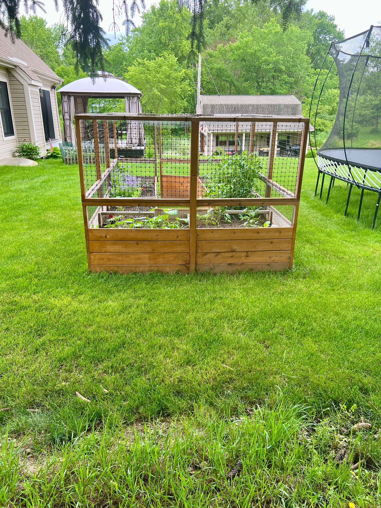A cedar raised bed garden enclosure with deer-proof fencing at a Pittsburgh suburban home