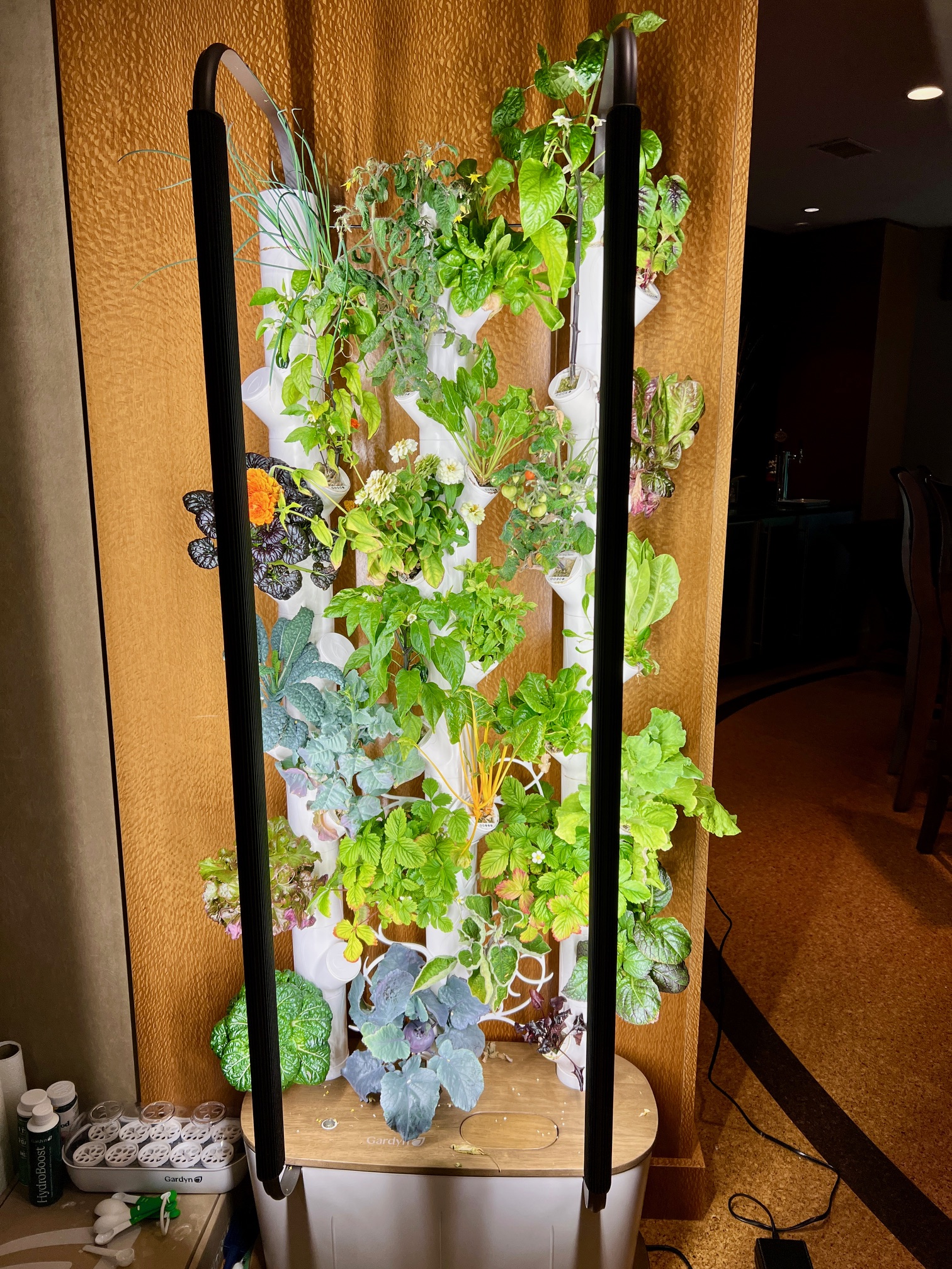 A floor-standing hydroponic tower garden growing kale, lettuce, and herbs in a Pittsburgh interior — the kind of indoor space the GardenSoon Network counts